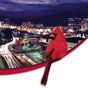 Cardinal Bank 2010