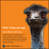 Day Pitney
