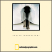 National Geographic